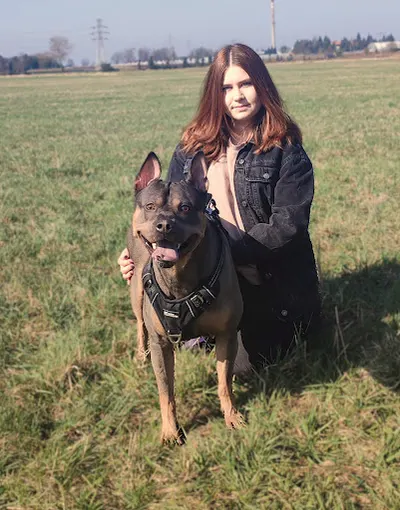 Czujne Uszka - Behawiorysta psów, psi trener, szkolenia psów. Behawiorysta Łódź